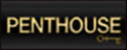 PENTHOUSE ONE 정품 성인용품 브랜드 로고